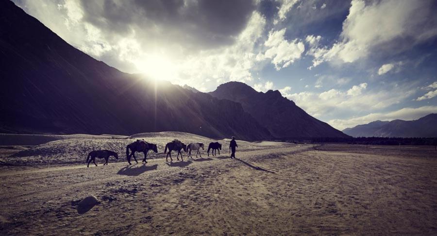 Chamba Camp Diskit Nubra Exteriér fotografie