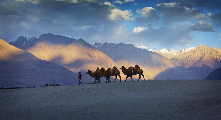 Chamba Camp Diskit Nubra Exteriér fotografie