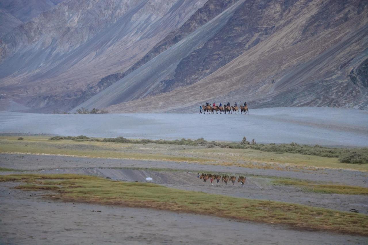 Chamba Camp Diskit Nubra Exteriér fotografie