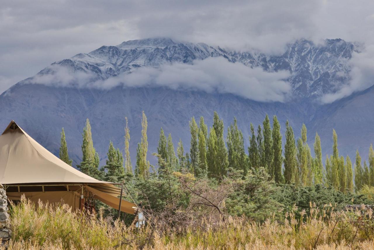 Chamba Camp Diskit Nubra Exteriér fotografie